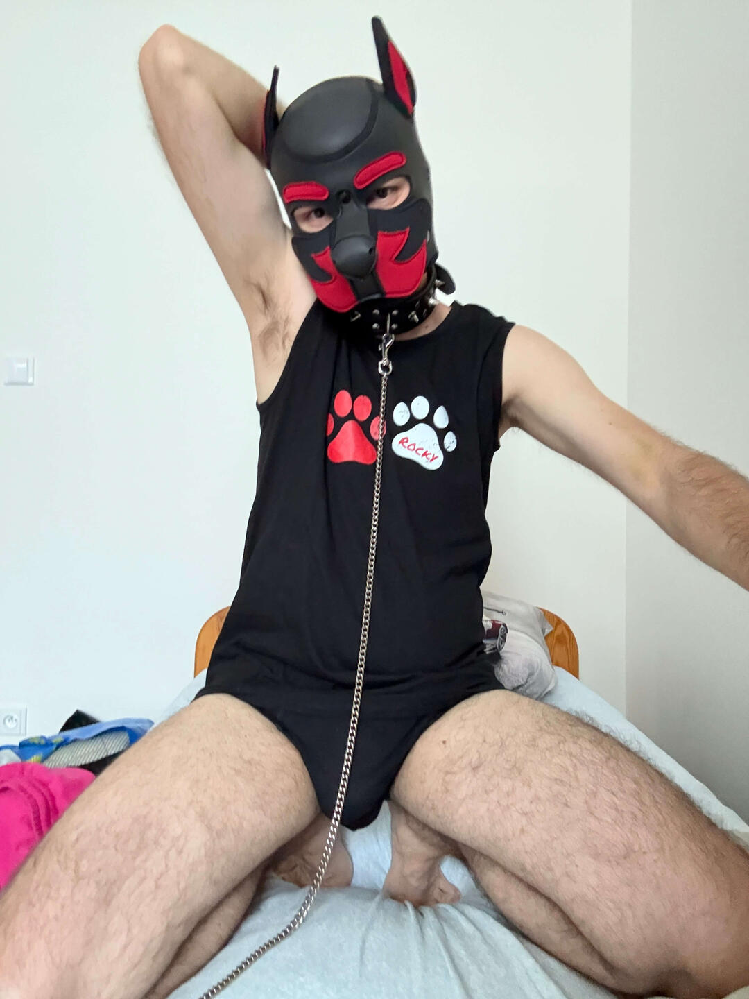 Puppy Rocky Představení Rockyho. Štěněte z Česka.