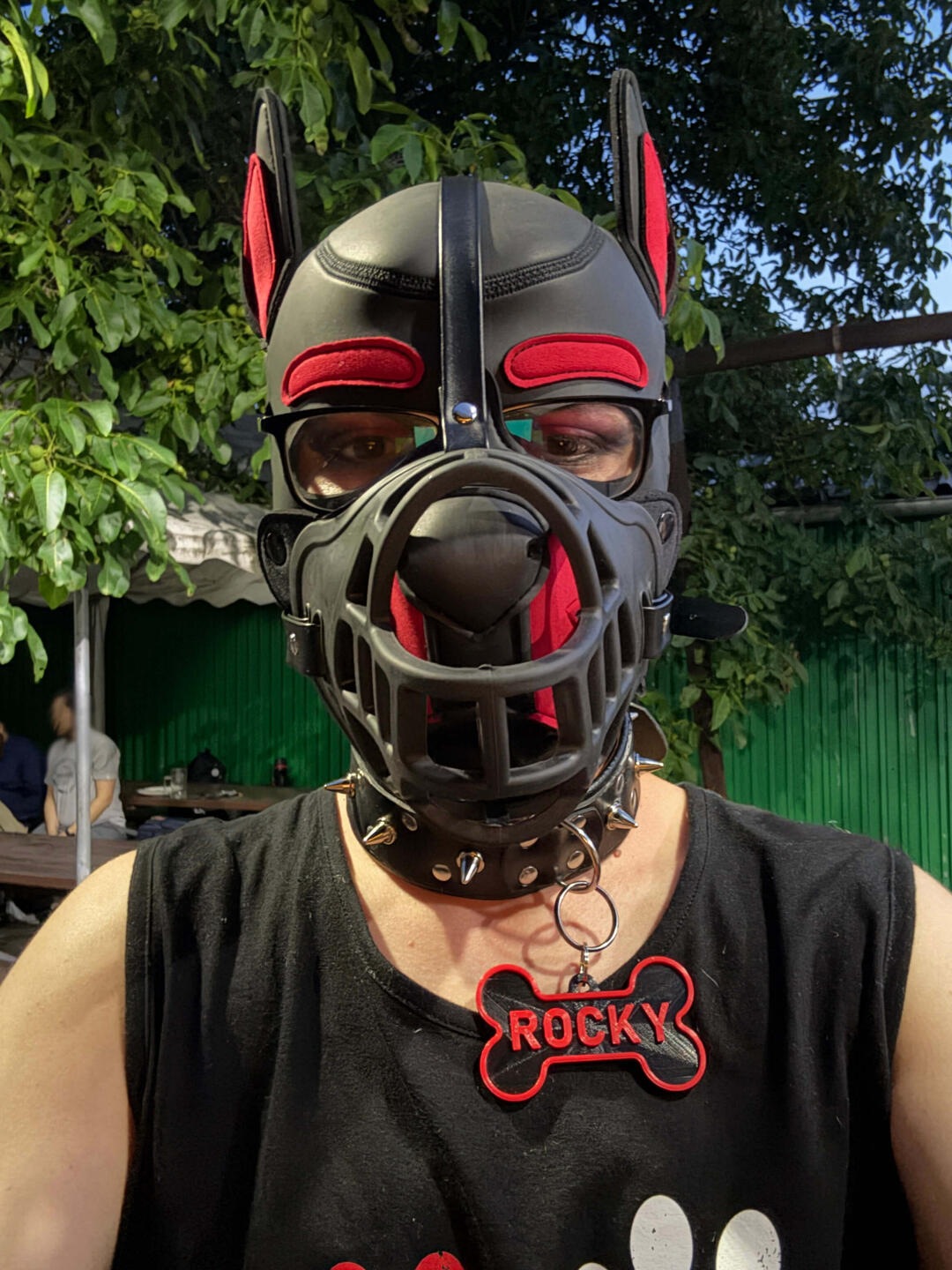 Puppy Rocky Představení Rockyho. Štěněte z Česka.