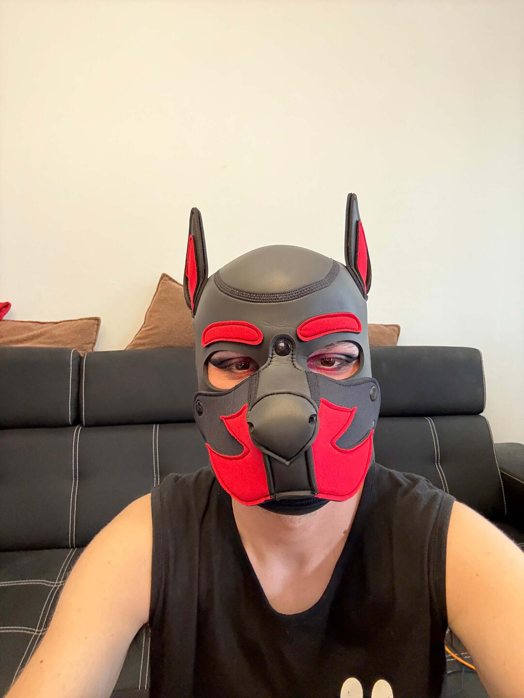 Puppy Rocky Představení Rockyho. Štěněte z Česka.